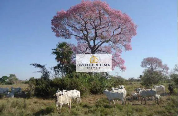 Farm for sale of 154,441 acres in Cáceres, MT, Brazil