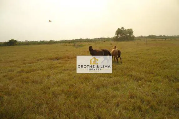 Farm for sale of 154,441 acres in Cáceres, MT, Brazil
