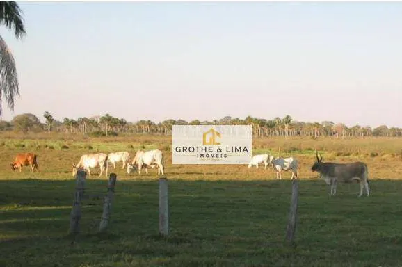 Farm for sale of 154,441 acres in Cáceres, MT, Brazil