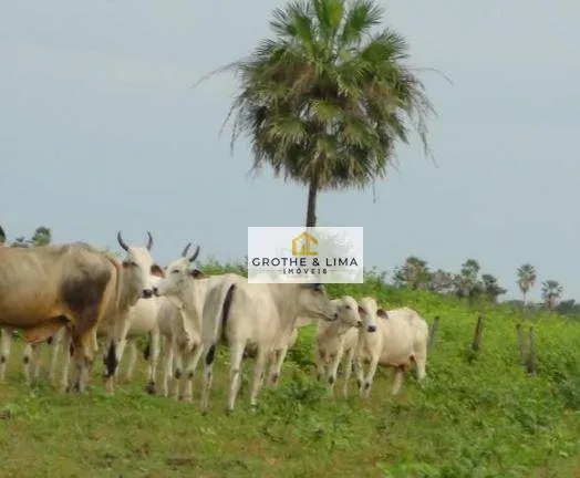 Farm for sale of 154,441 acres in Cáceres, MT, Brazil