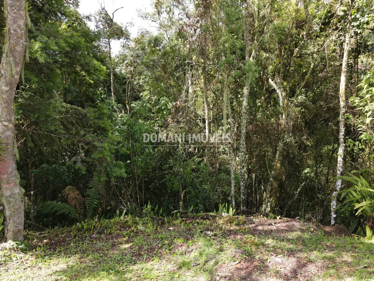 Terreno à venda de 1.120 m² em Campos do Jordão, SP, Brasil