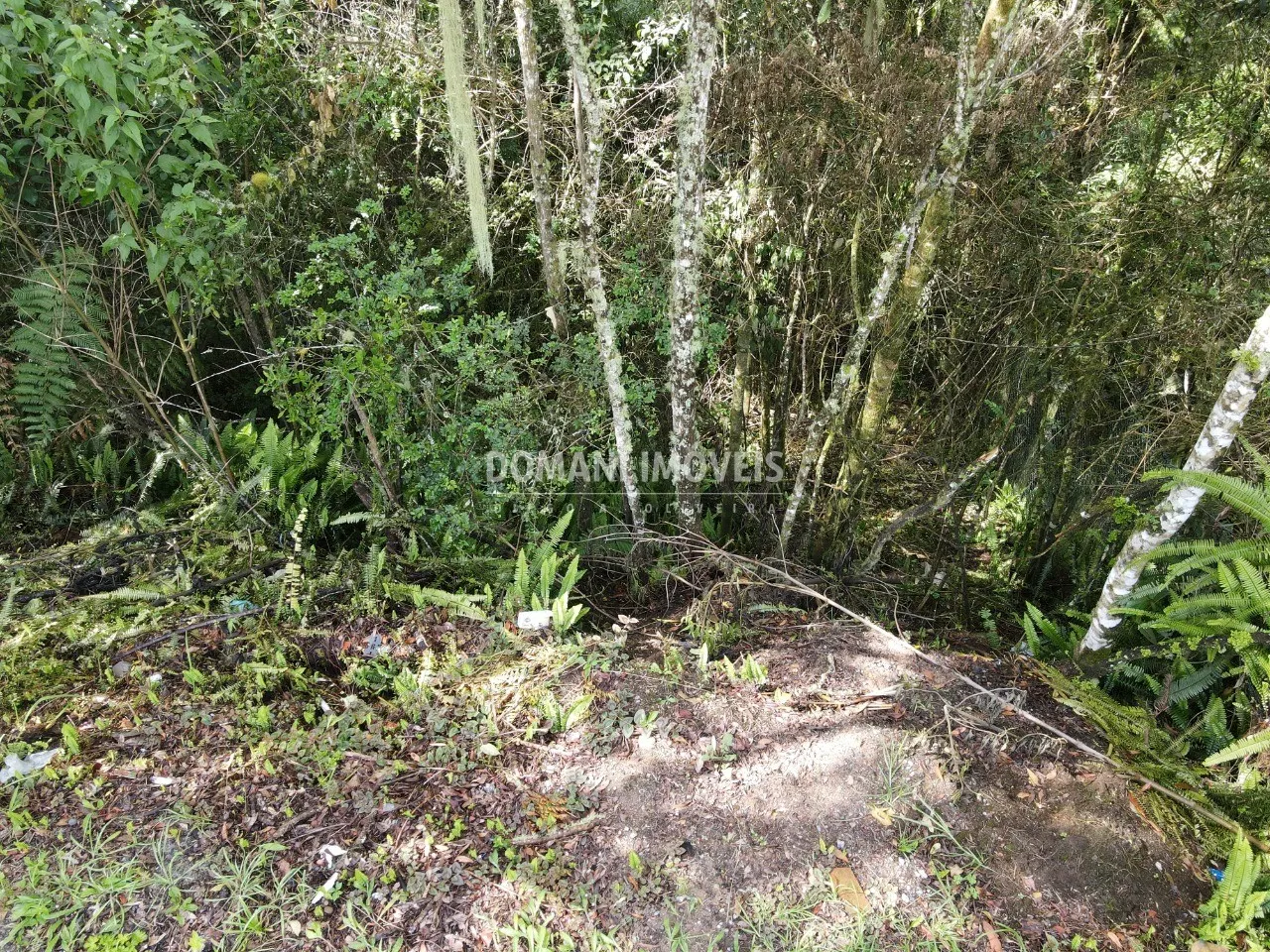Terreno à venda de 1.120 m² em Campos do Jordão, SP, Brasil