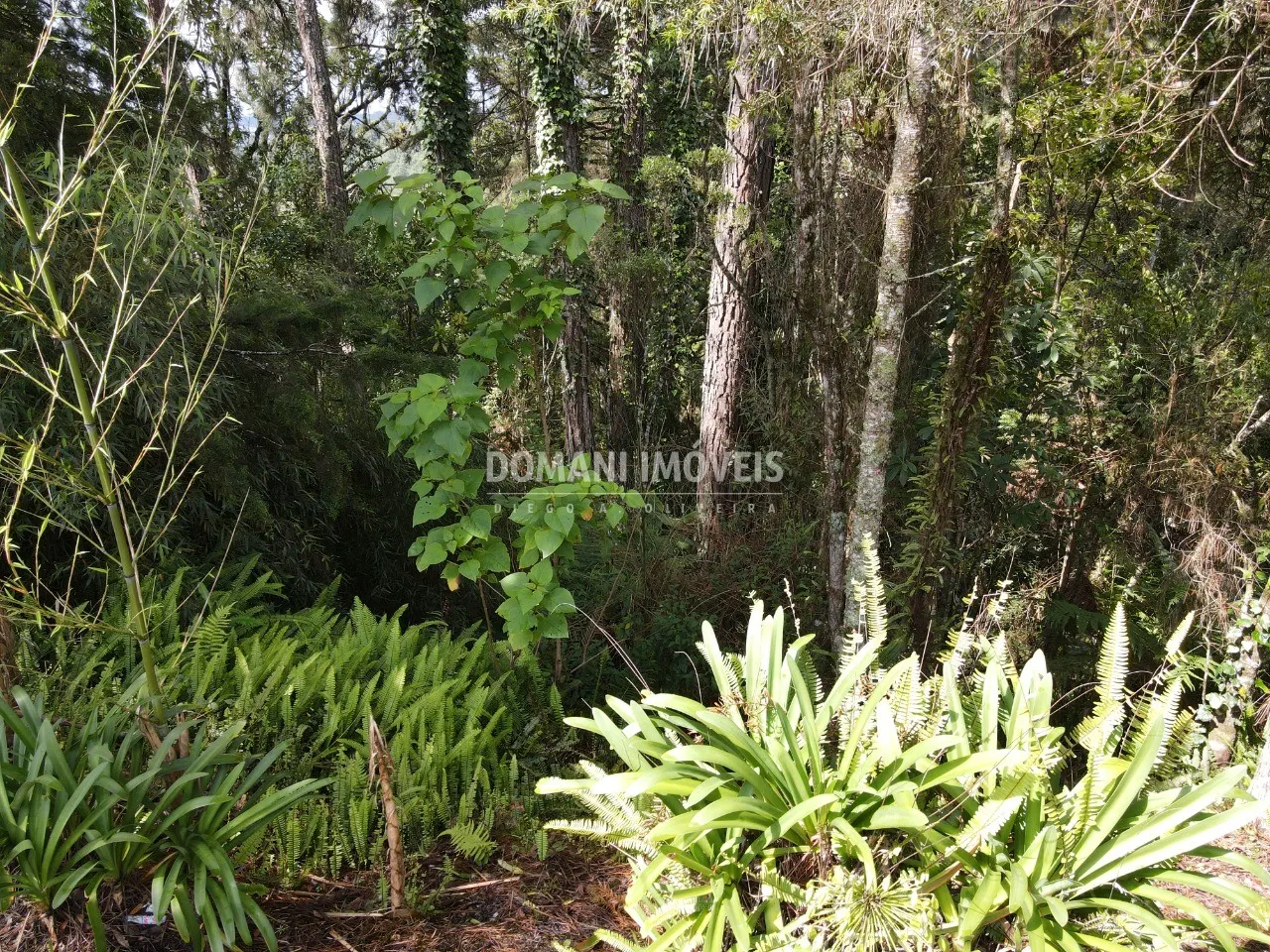 Terreno à venda de 1.120 m² em Campos do Jordão, SP, Brasil