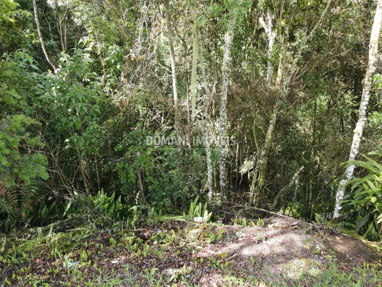 Terreno à venda de 1.120 m² em Campos do Jordão, SP, Brasil