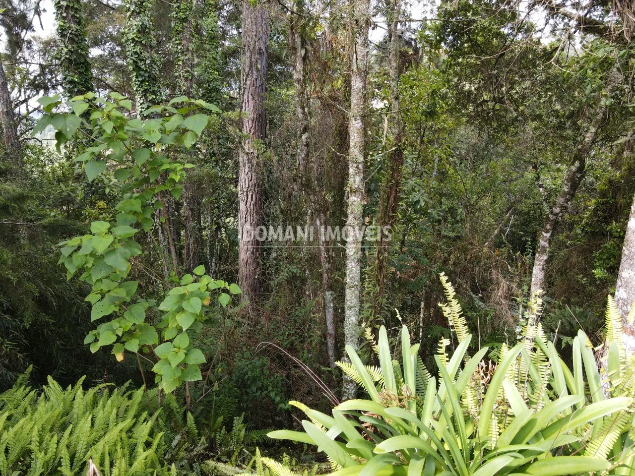 Terreno à venda de 1.120 m² em Campos do Jordão, SP, Brasil