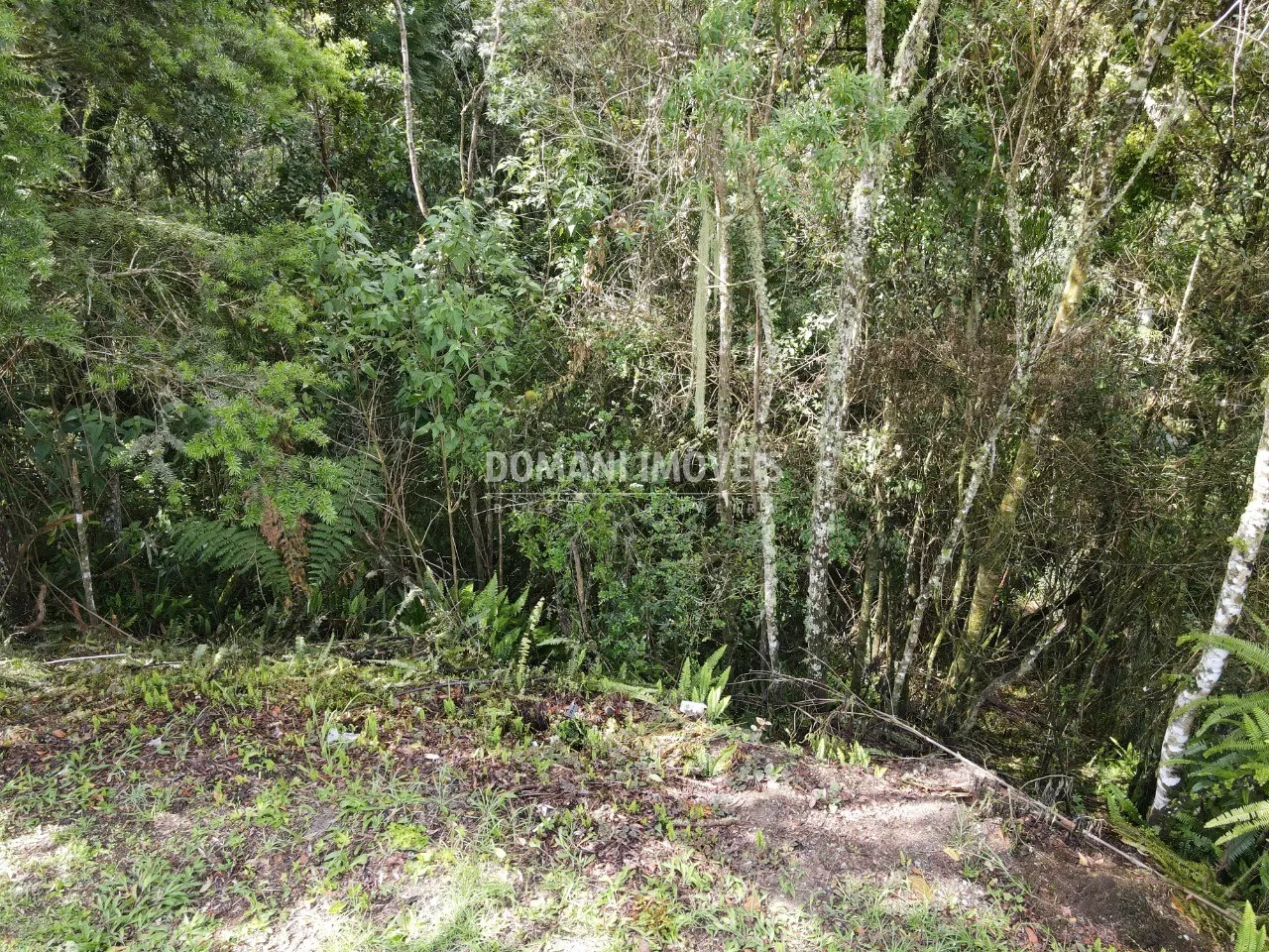 Terreno à venda de 1.120 m² em Campos do Jordão, SP, Brasil