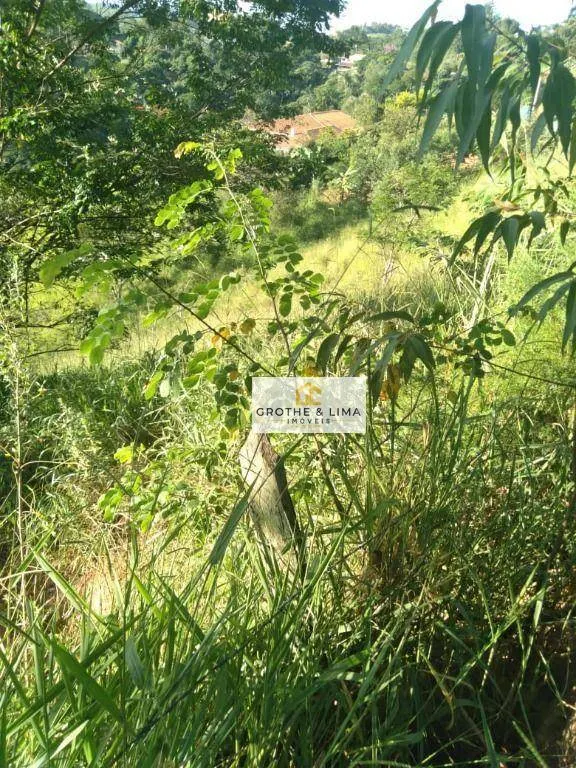 Terreno à venda de 7.000 m² em Jambeiro, SP, Brasil