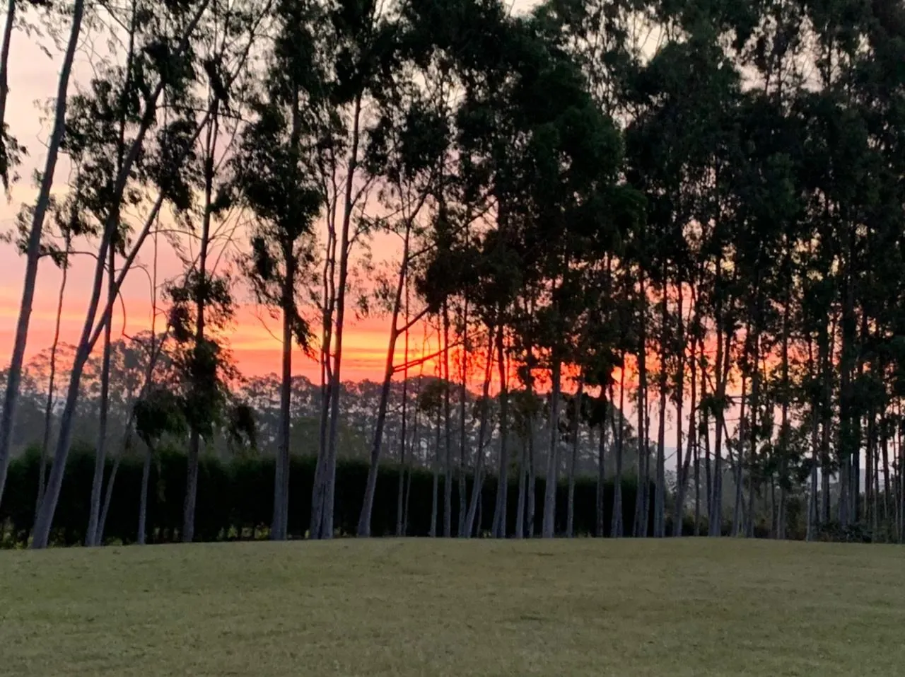 Chácara à venda de 2 ha em Sarapuí, SP, Brasil