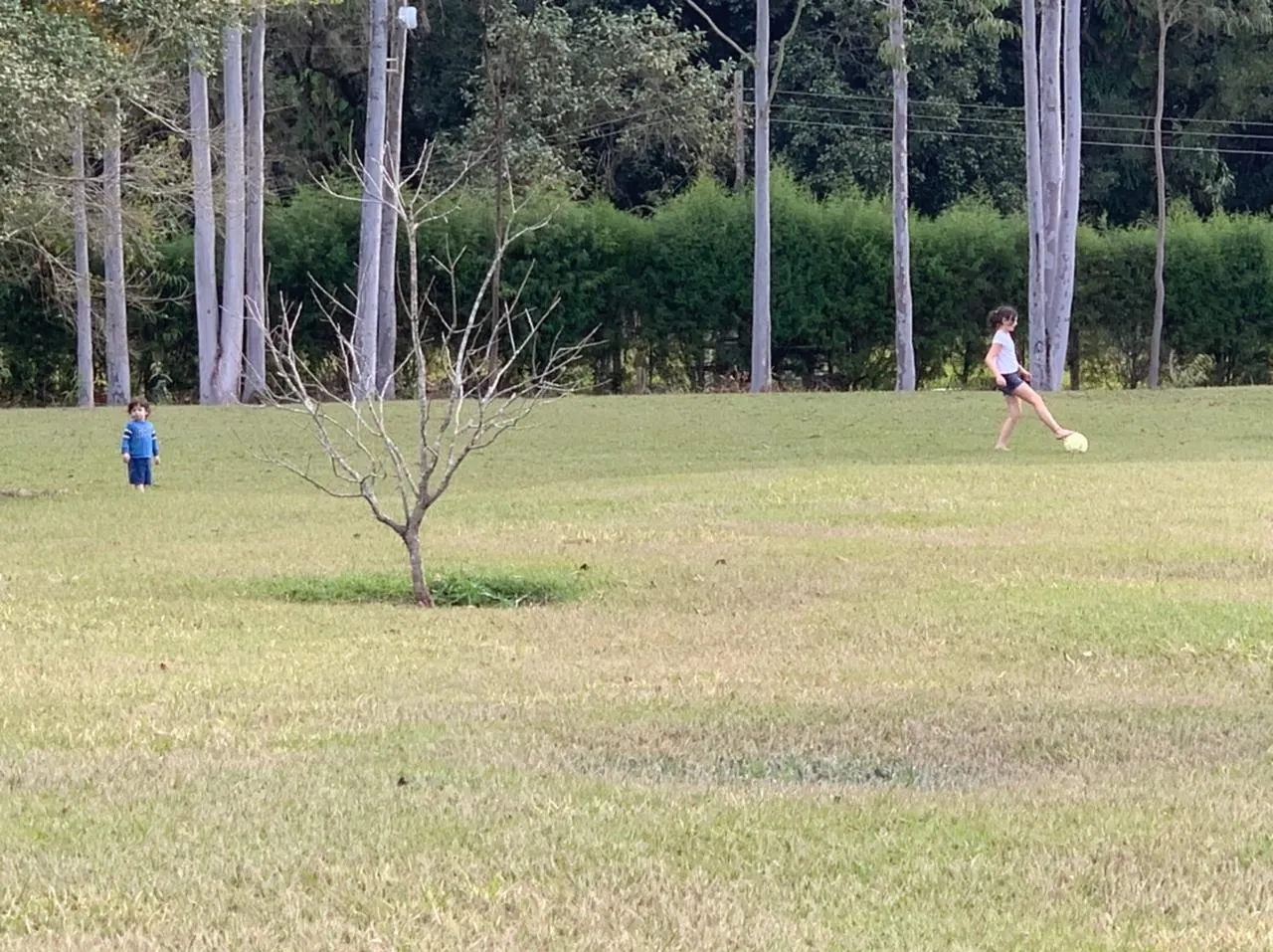 Chácara à venda de 2 ha em Sarapuí, SP, Brasil