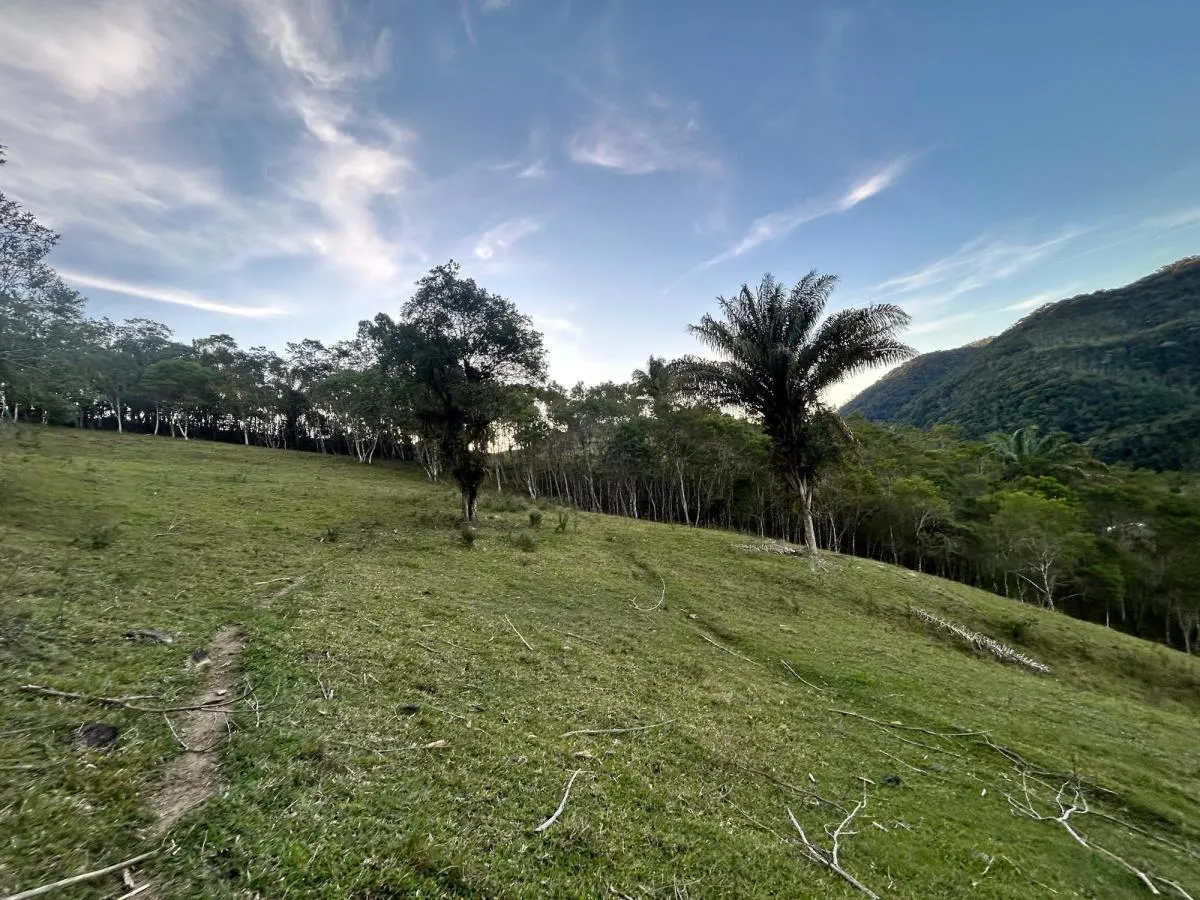 Fazenda à venda de 53 ha em Natividade da Serra, SP, Brasil