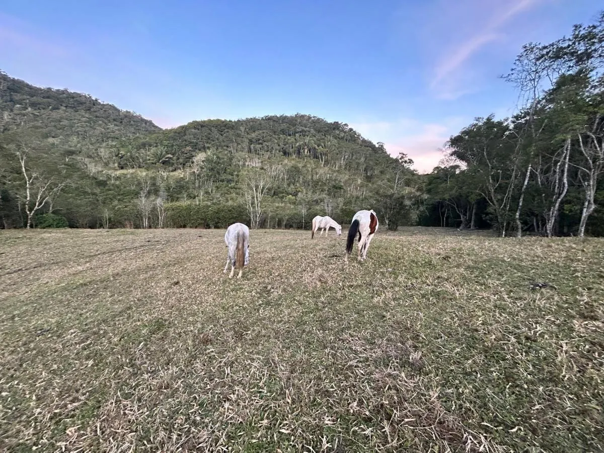 Fazenda à venda de 53 ha em Natividade da Serra, SP, Brasil