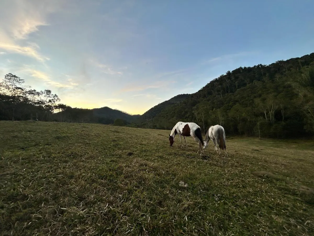 Fazenda à venda de 53 ha em Natividade da Serra, SP, Brasil