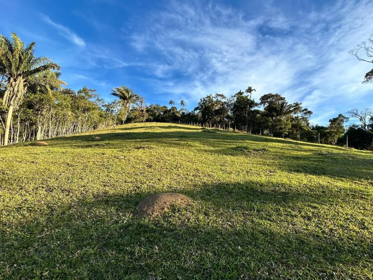 Fazenda à venda de 53 ha em Natividade da Serra, SP, Brasil