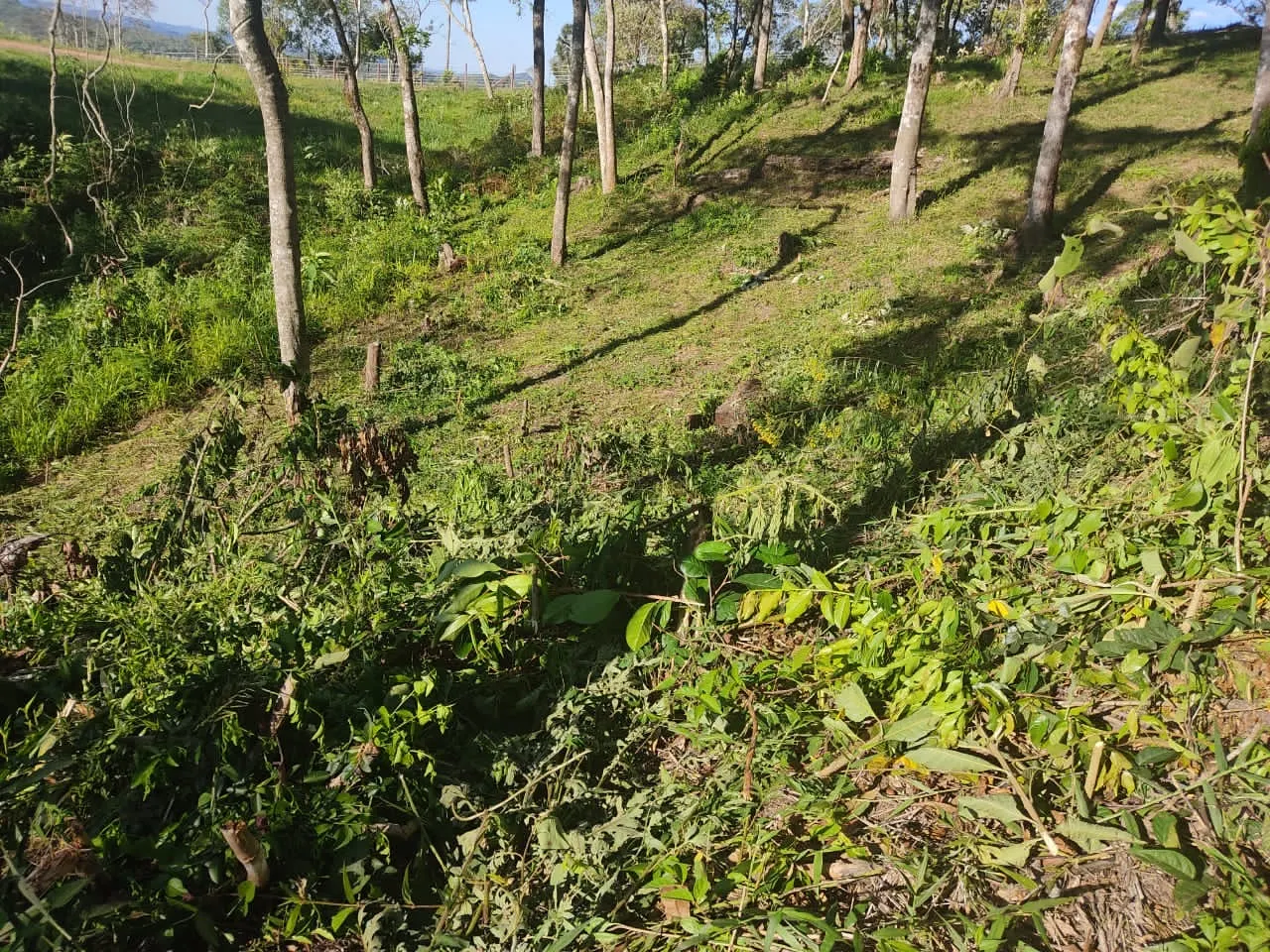 Plot for sale and to rent of 5 acres in Campo Largo, PR, Brazil