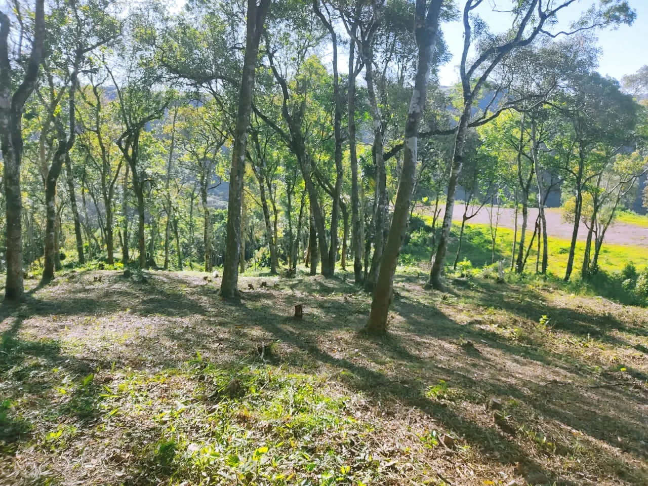 Plot for sale and to rent of 5 acres in Campo Largo, PR, Brazil