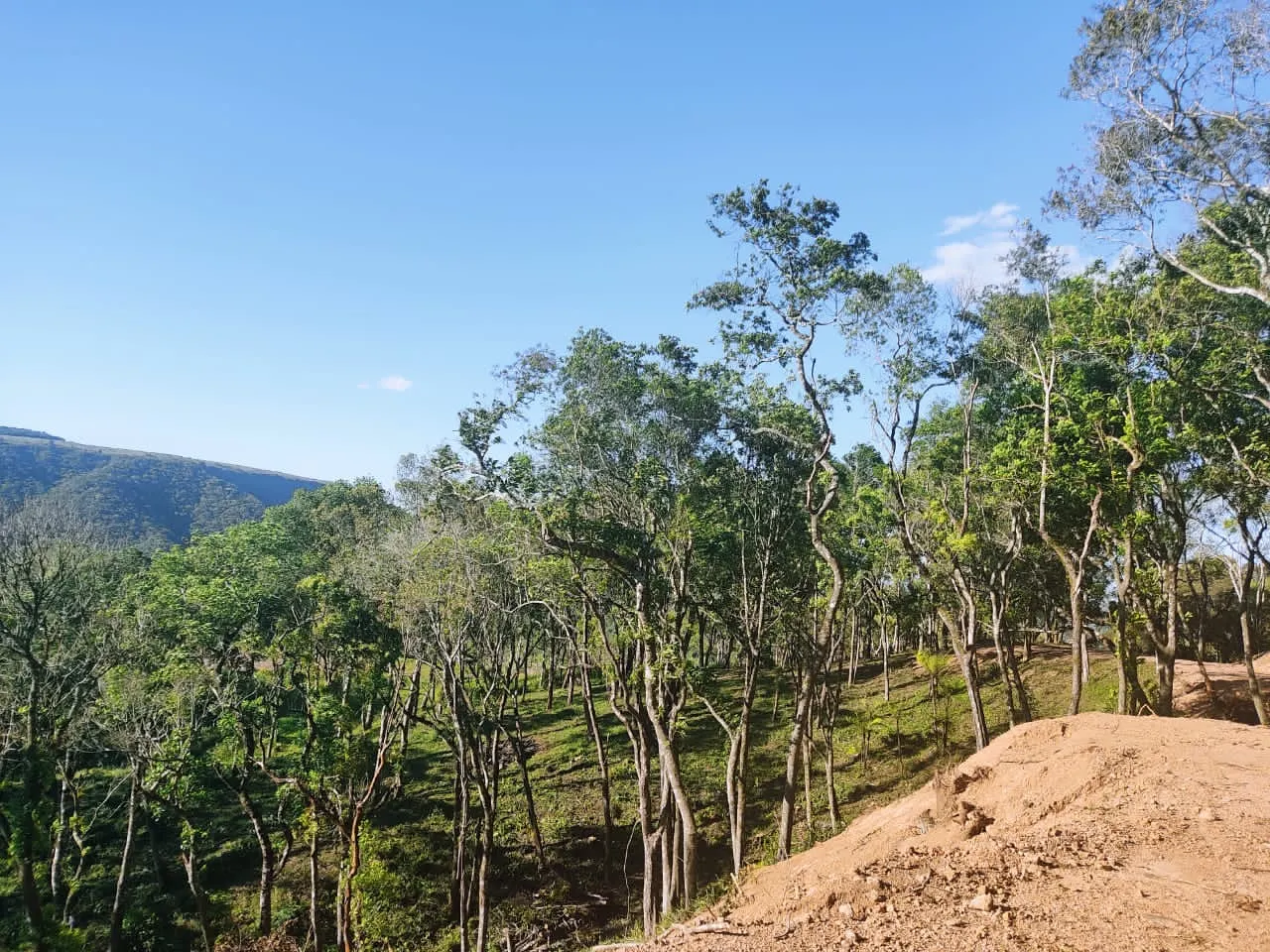 Plot for sale and to rent of 5 acres in Campo Largo, PR, Brazil