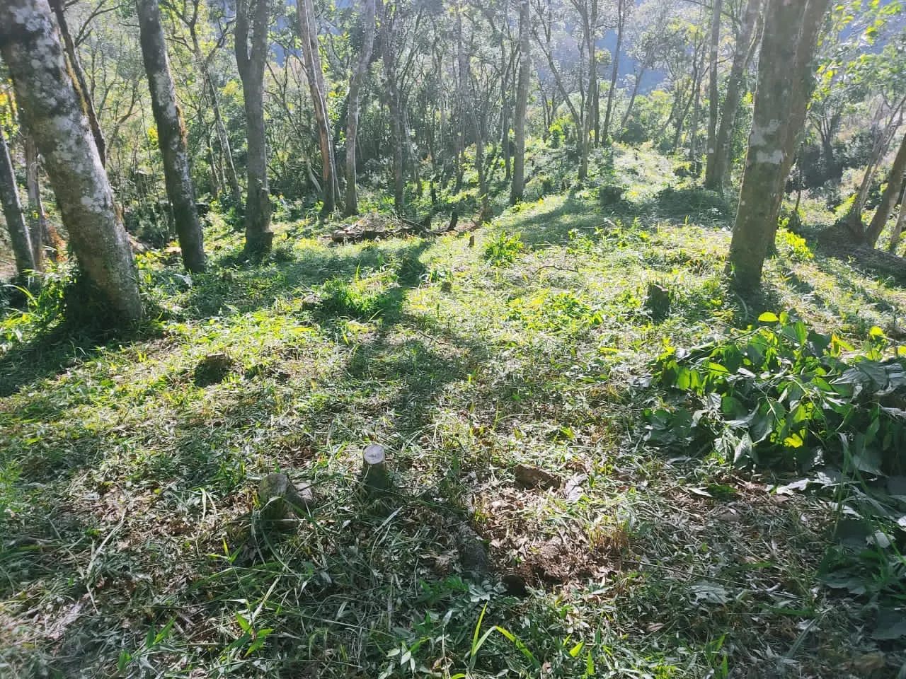 Plot for sale and to rent of 5 acres in Campo Largo, PR, Brazil