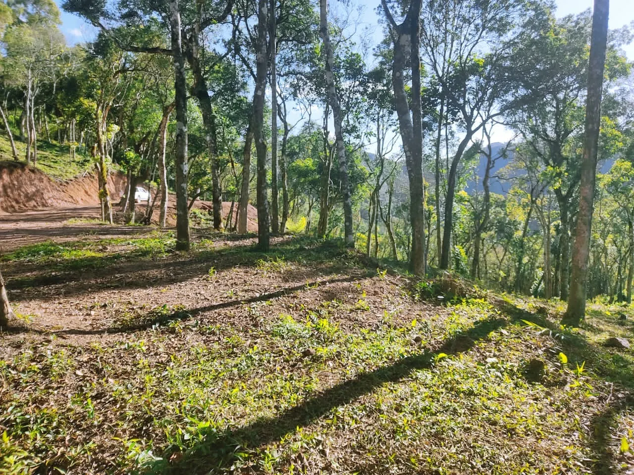Plot for sale and to rent of 5 acres in Campo Largo, PR, Brazil
