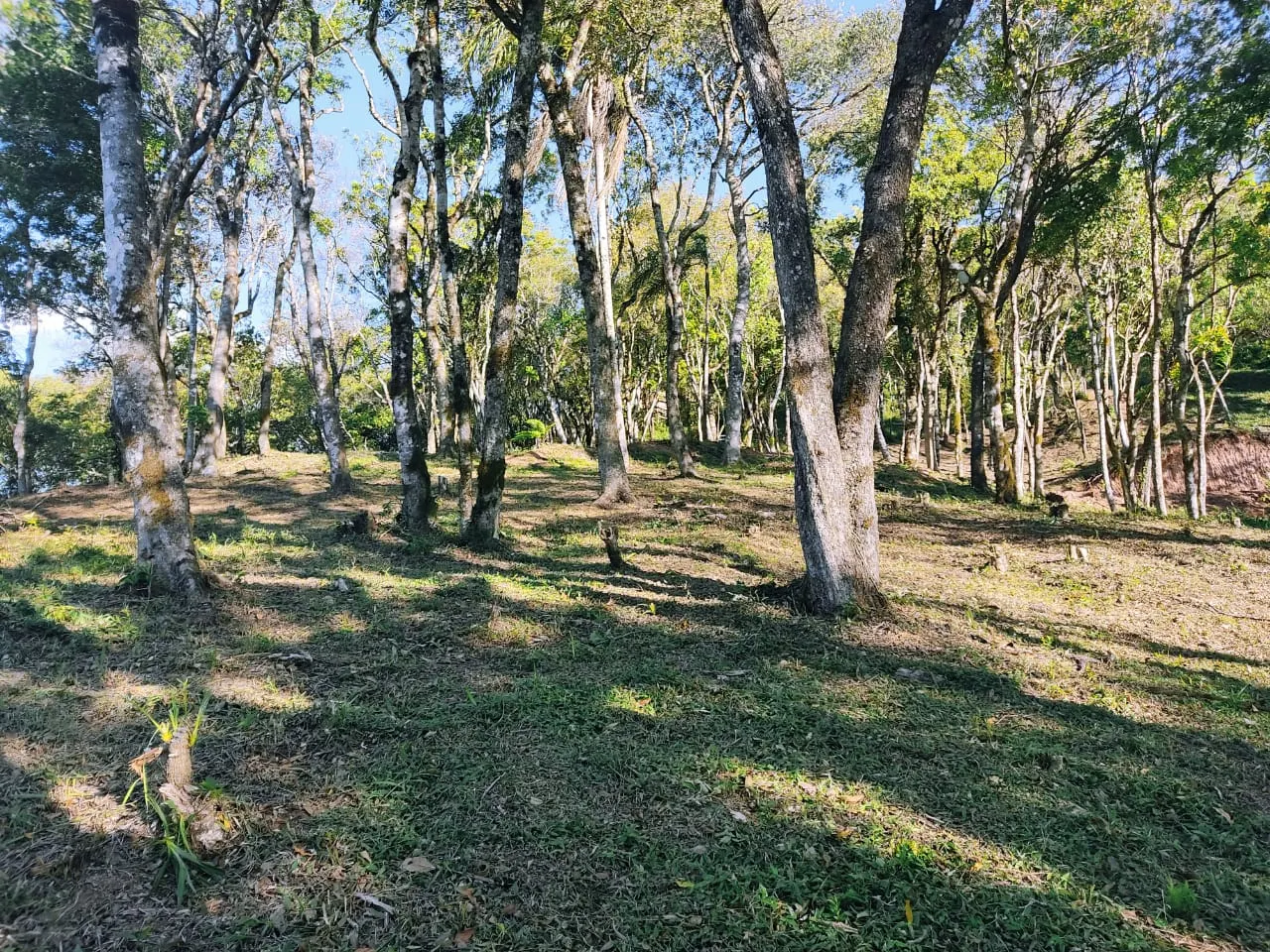 Plot for sale and to rent of 5 acres in Campo Largo, PR, Brazil