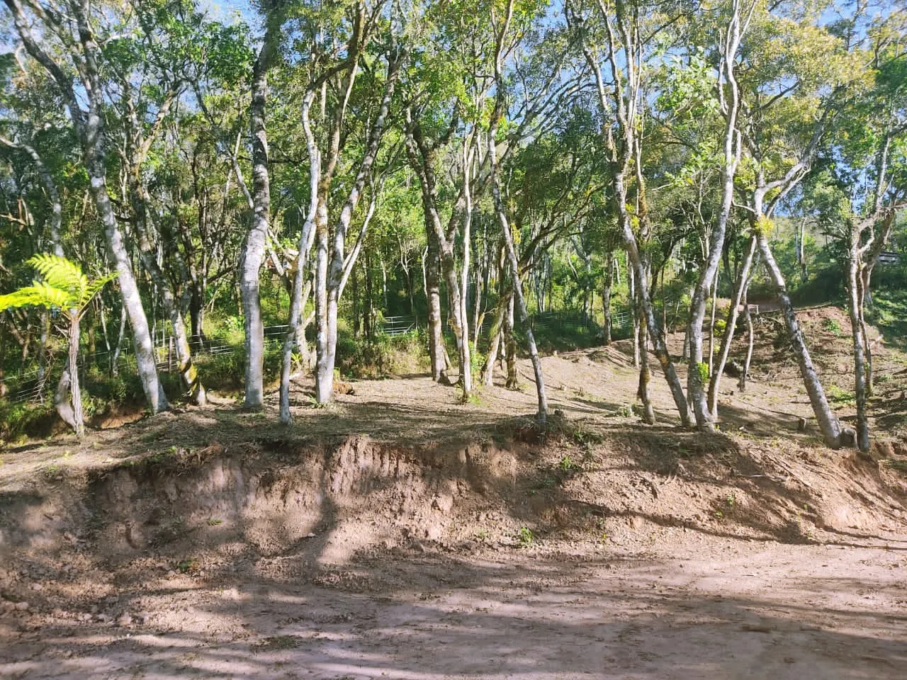Plot for sale and to rent of 5 acres in Campo Largo, PR, Brazil