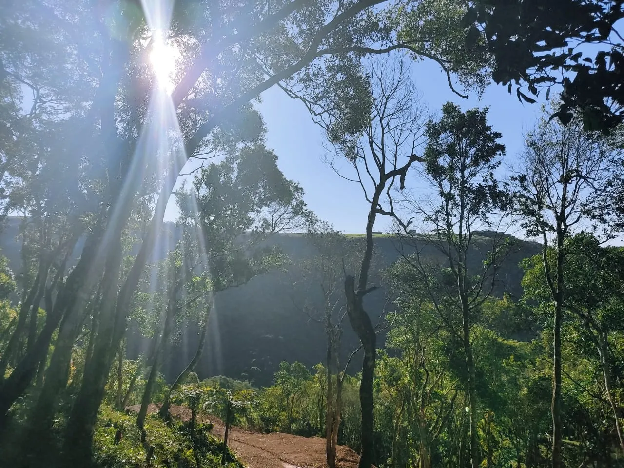 Plot for sale and to rent of 5 acres in Campo Largo, PR, Brazil