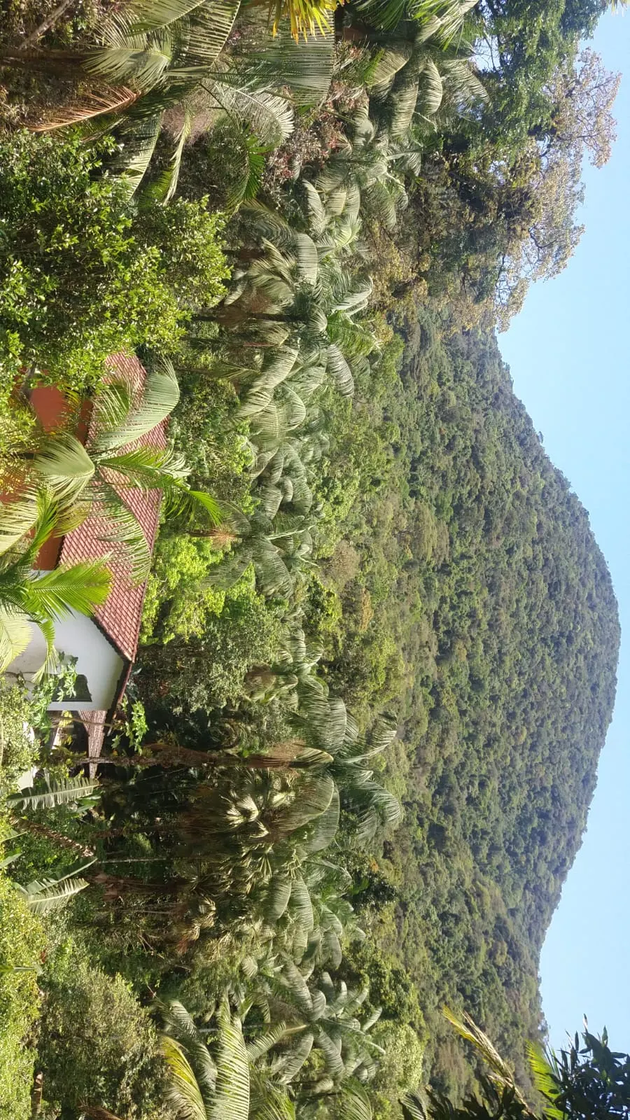 Sítio à venda de 24 ha em Mongaguá, SP, Brasil