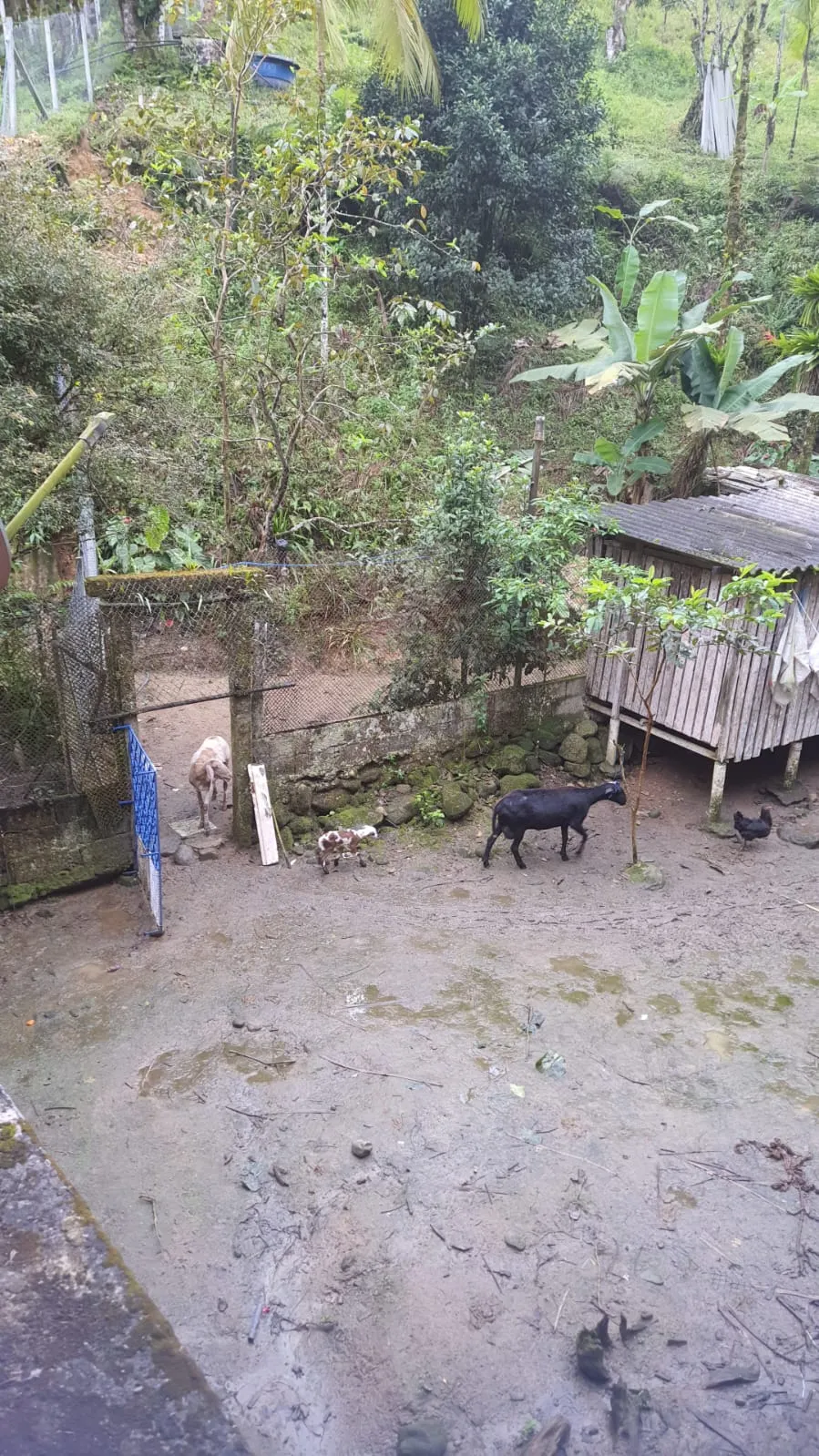 Sítio à venda de 24 ha em Mongaguá, SP, Brasil