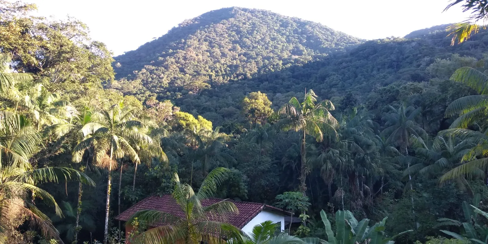 Sítio à venda de 24 ha em Mongaguá, SP, Brasil
