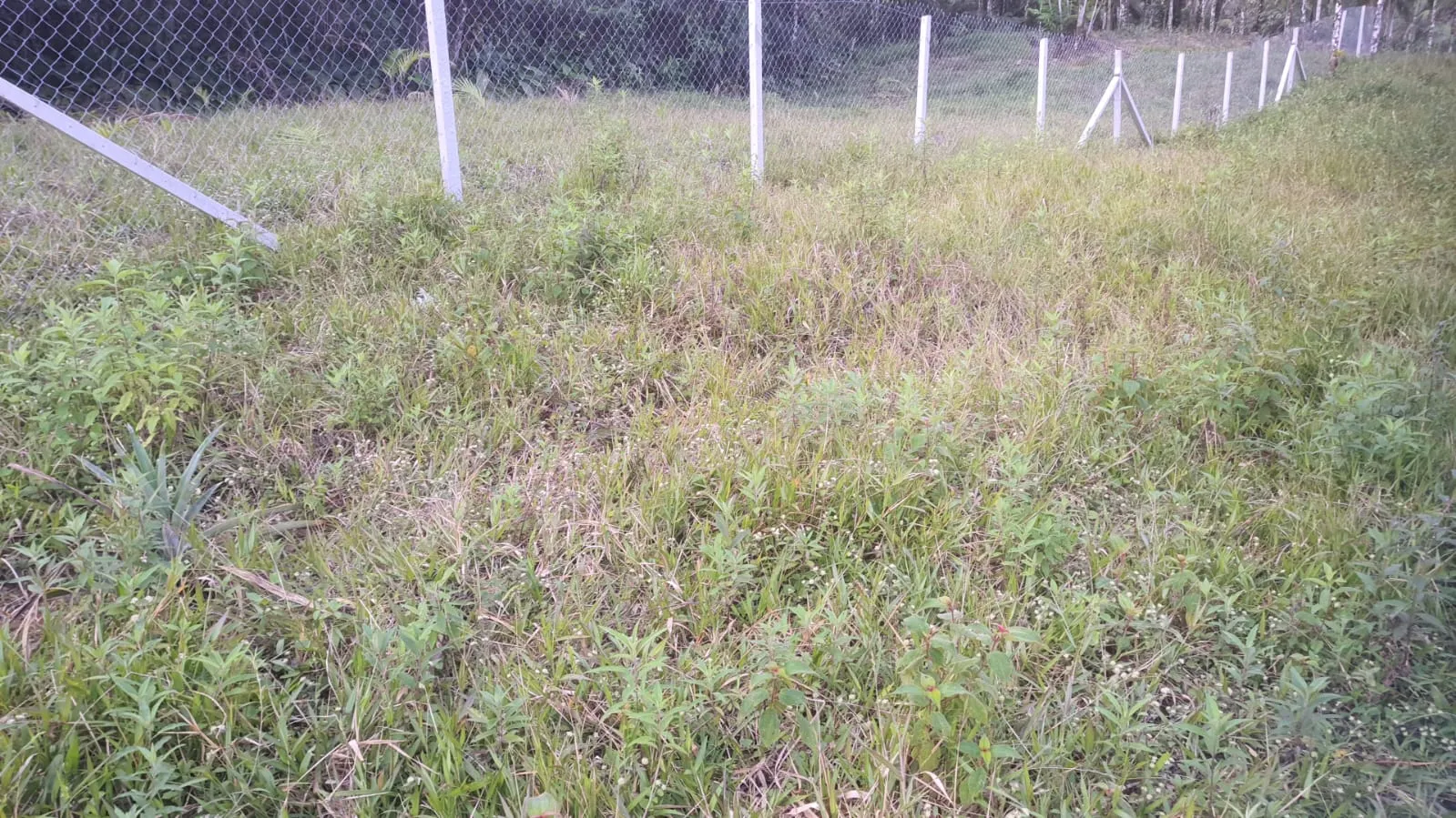 Sítio à venda de 24 ha em Mongaguá, SP, Brasil
