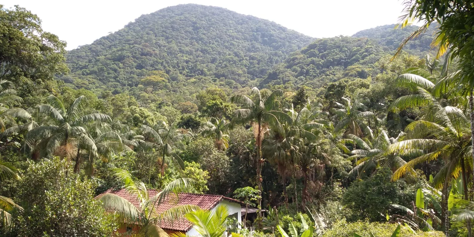 Sítio à venda de 24 ha em Mongaguá, SP, Brasil