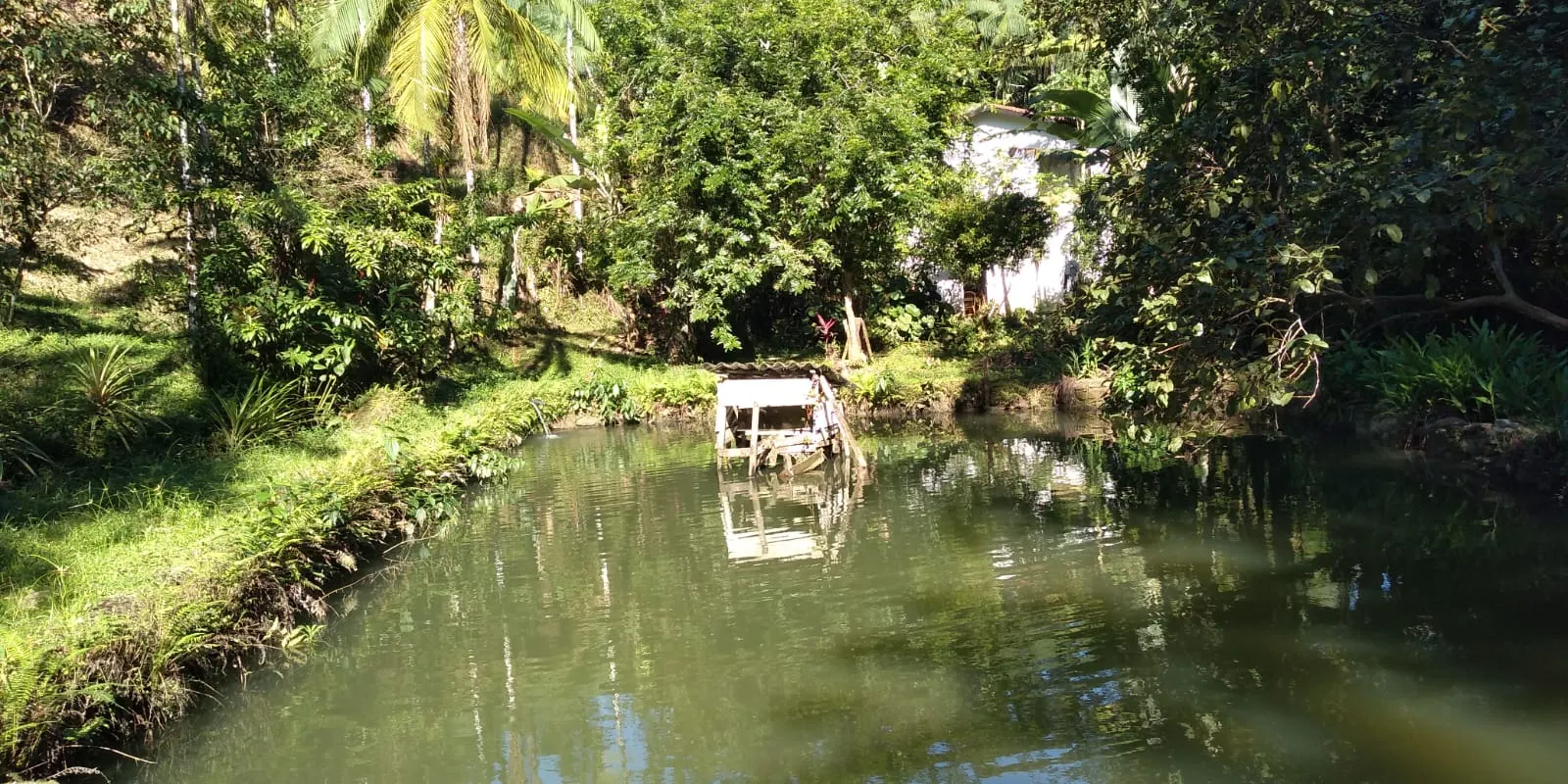 Sítio à venda de 24 ha em Mongaguá, SP, Brasil