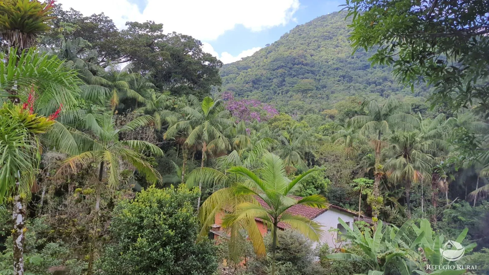 Sítio à venda de 24 ha em Mongaguá, SP, Brasil