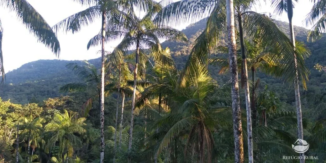 Sítio à venda de 24 ha em Mongaguá, SP, Brasil