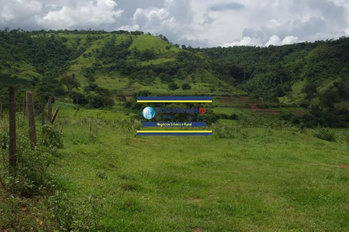 Sítio à venda de 40 ha em Santo Antônio da Alegria, SP, Brasil