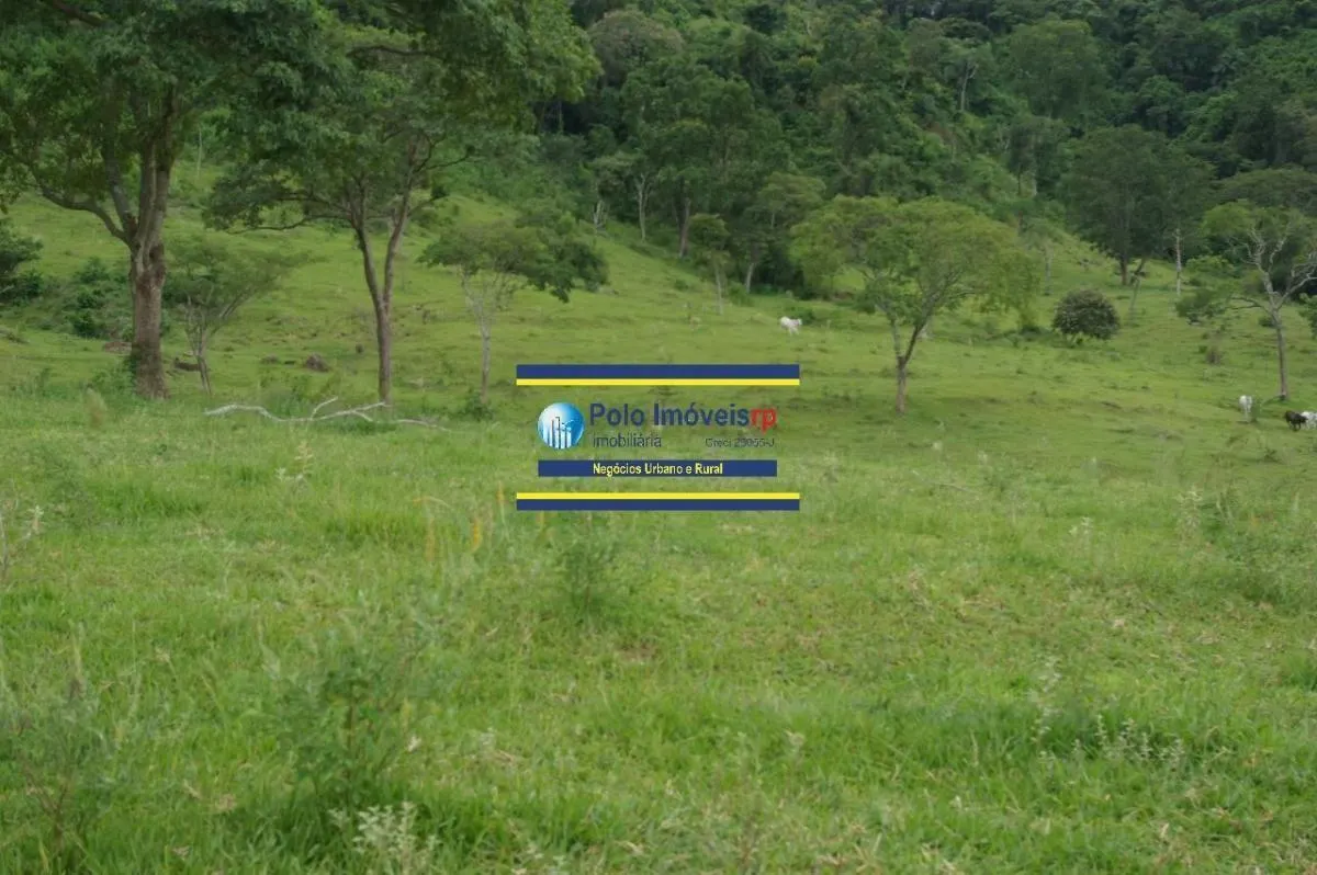 Sítio à venda de 40 ha em Santo Antônio da Alegria, SP, Brasil