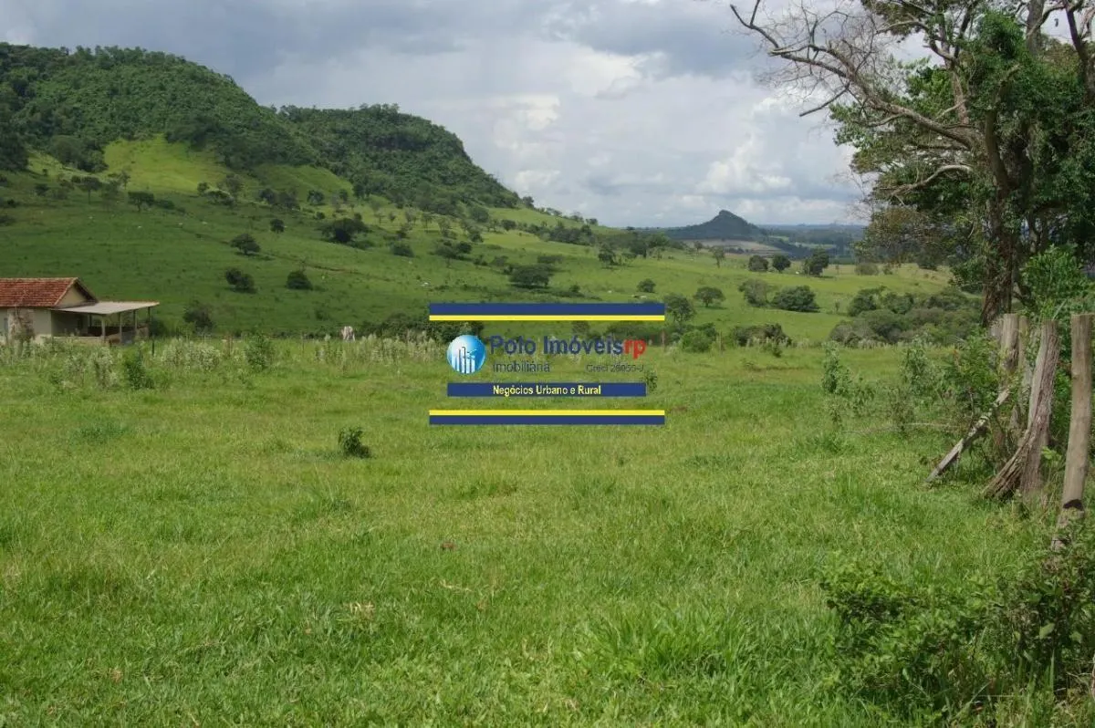 Sítio à venda de 40 ha em Santo Antônio da Alegria, SP, Brasil