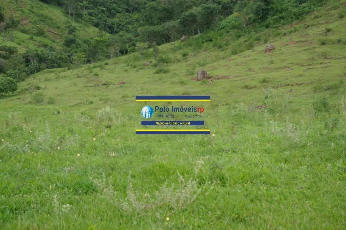 Sítio à venda de 40 ha em Santo Antônio da Alegria, SP, Brasil