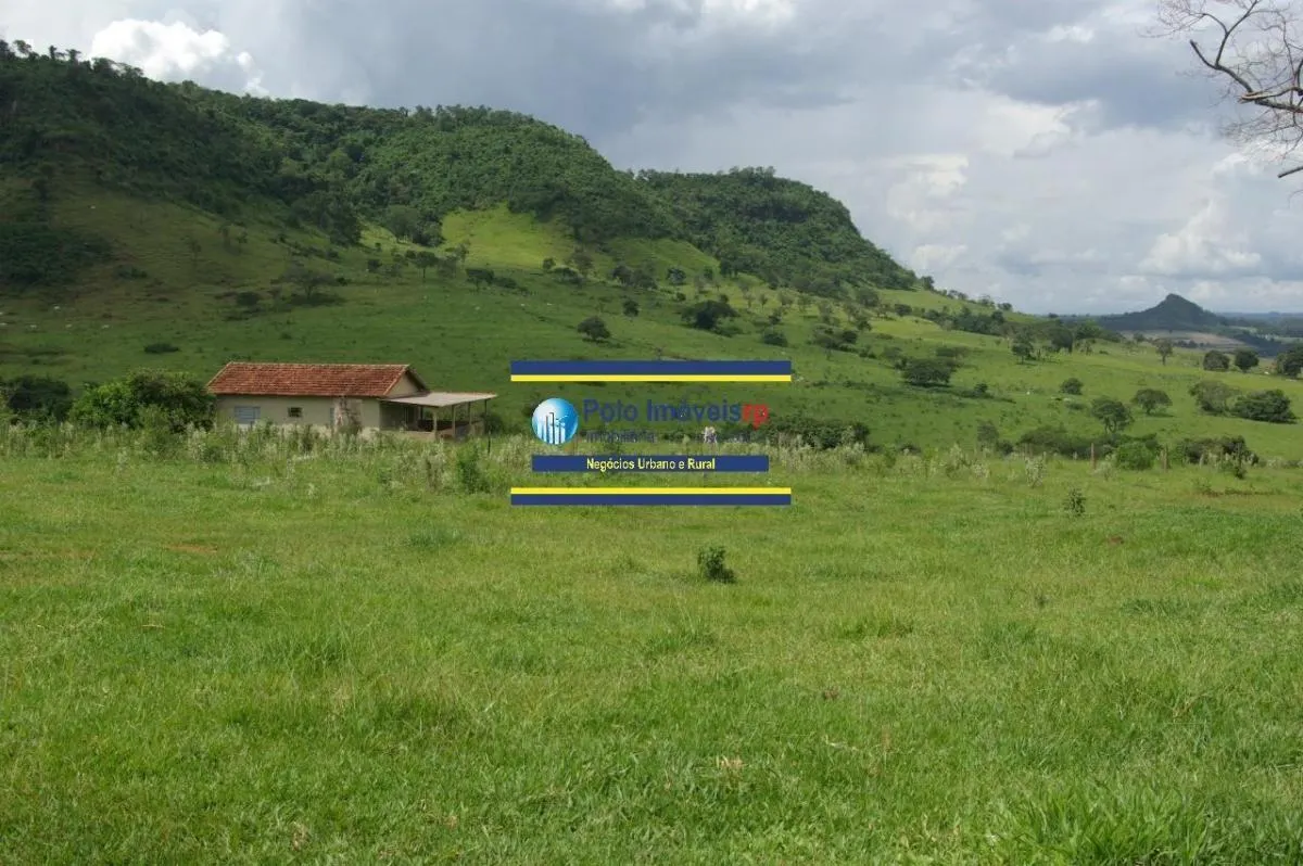 Sítio à venda de 40 ha em Santo Antônio da Alegria, SP, Brasil