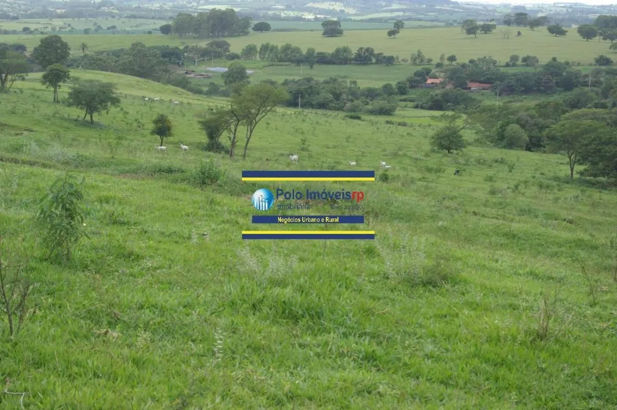 Sítio à venda de 40 ha em Santo Antônio da Alegria, SP, Brasil