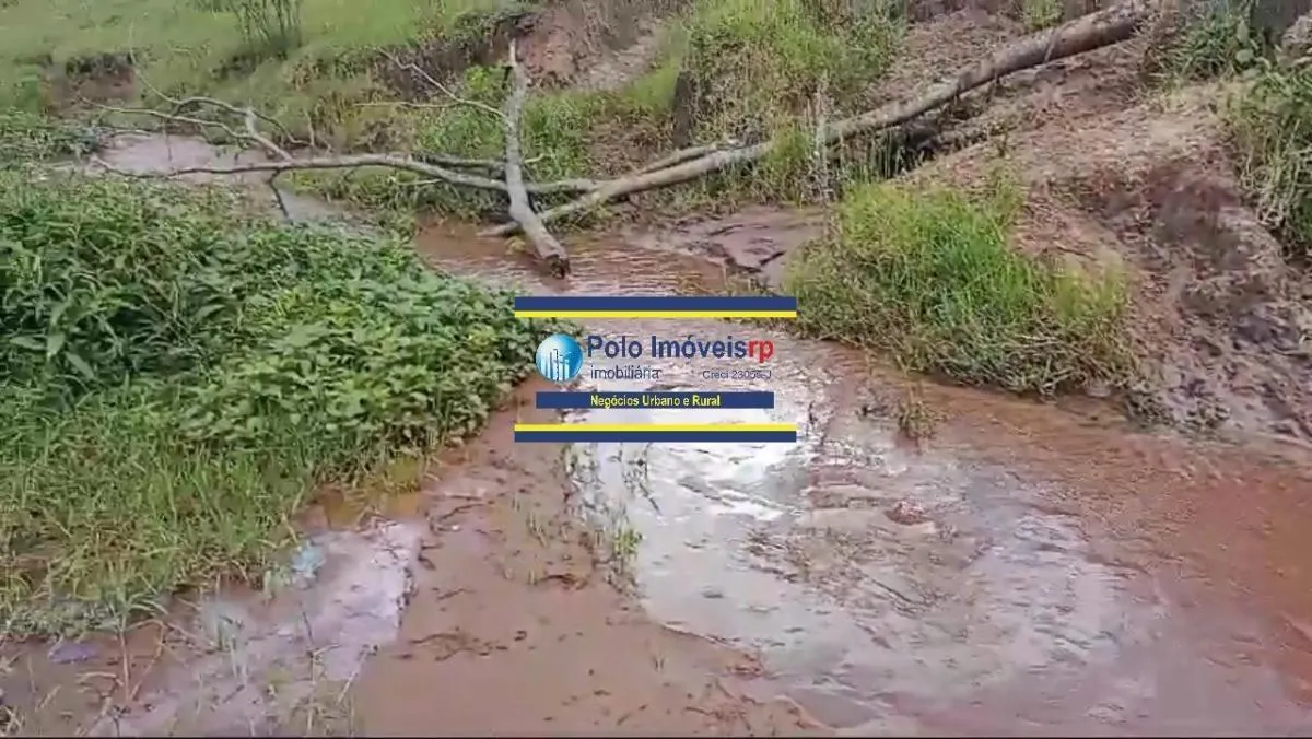 Sítio à venda de 40 ha em Santo Antônio da Alegria, SP, Brasil