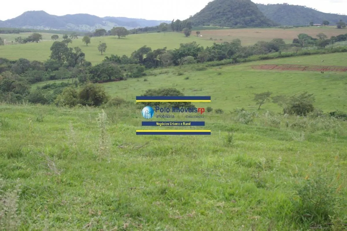 Sítio à venda de 40 ha em Santo Antônio da Alegria, SP, Brasil