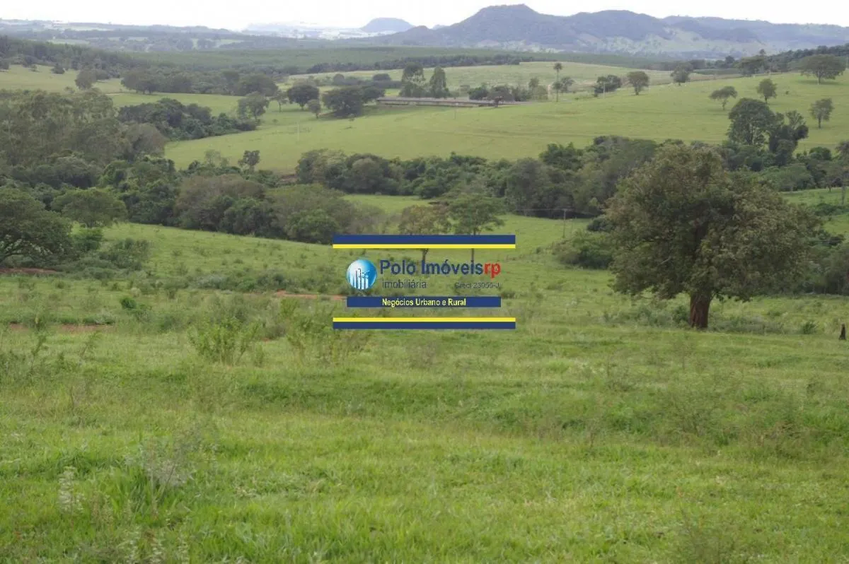 Sítio à venda de 40 ha em Santo Antônio da Alegria, SP, Brasil