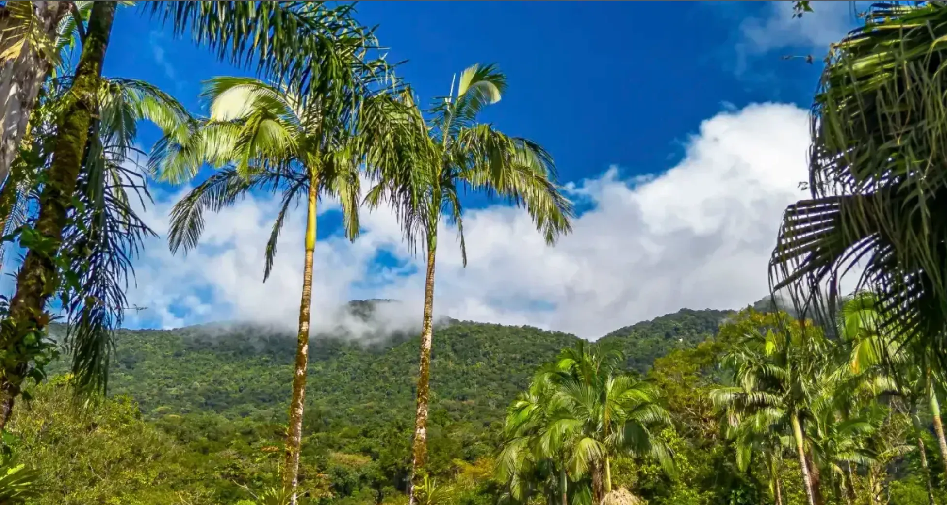 Small farm for sale of 157 acres in Morretes, PR, Brazil