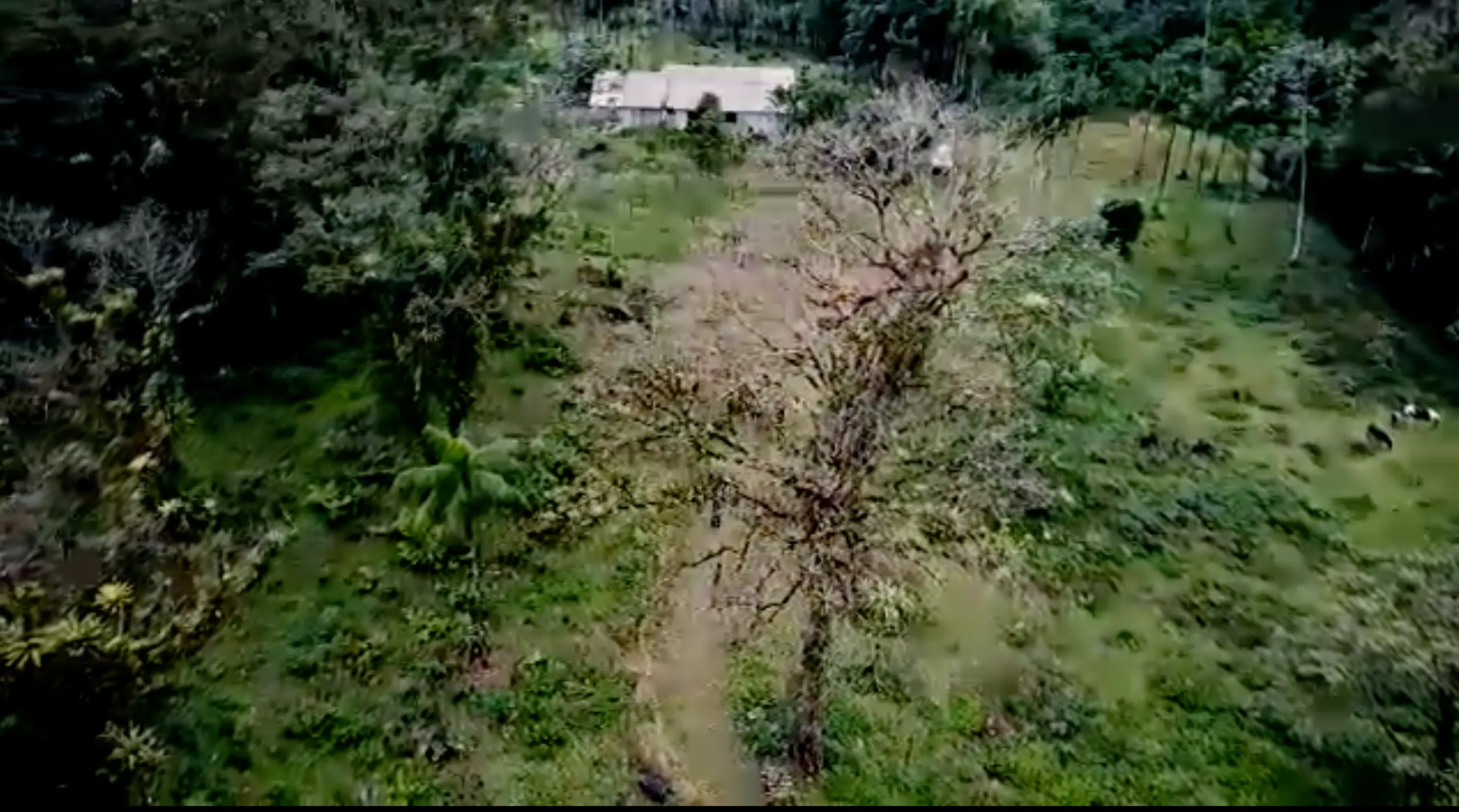 Small farm for sale of 157 acres in Morretes, PR, Brazil