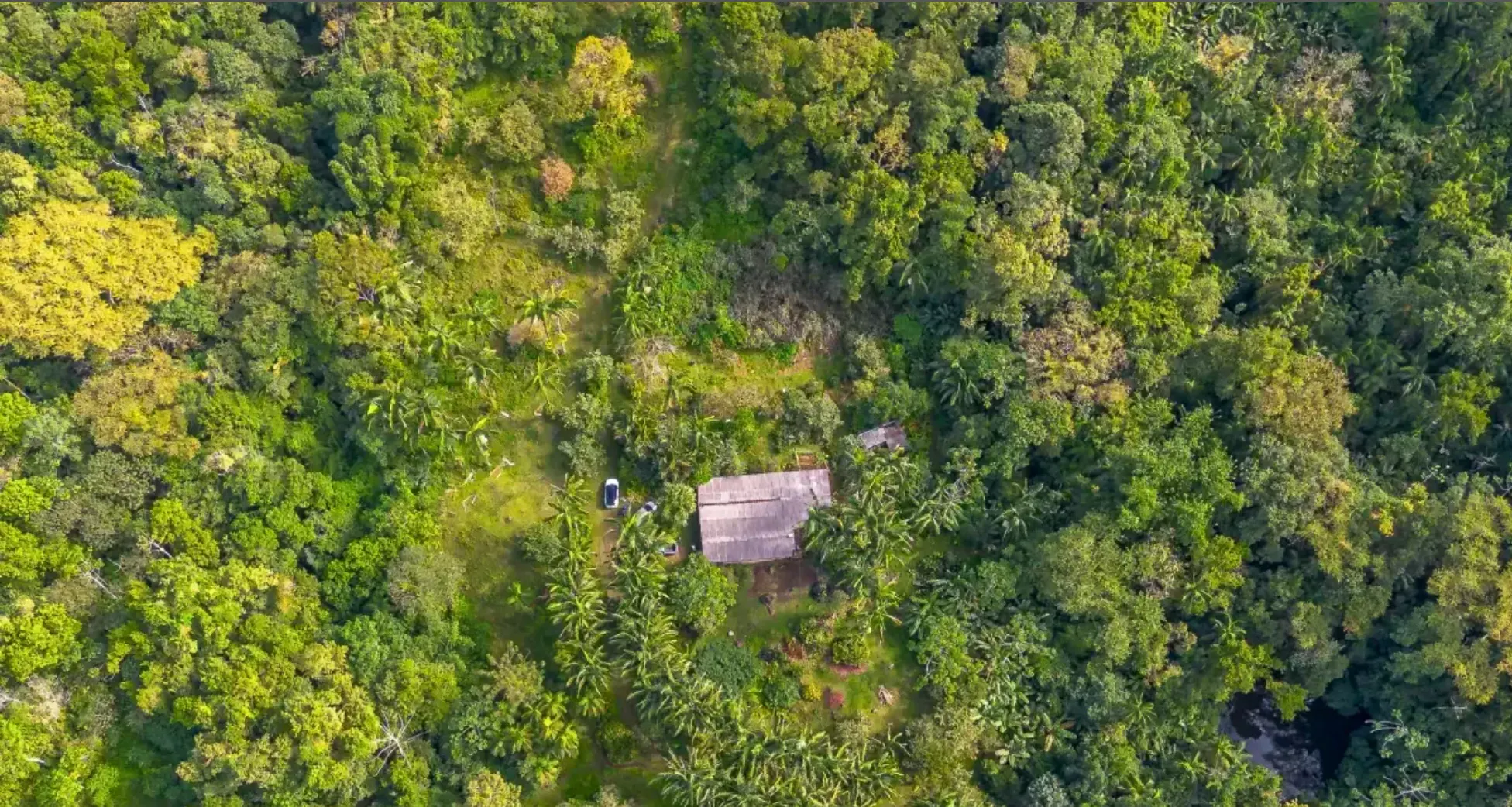 Small farm for sale of 157 acres in Morretes, PR, Brazil