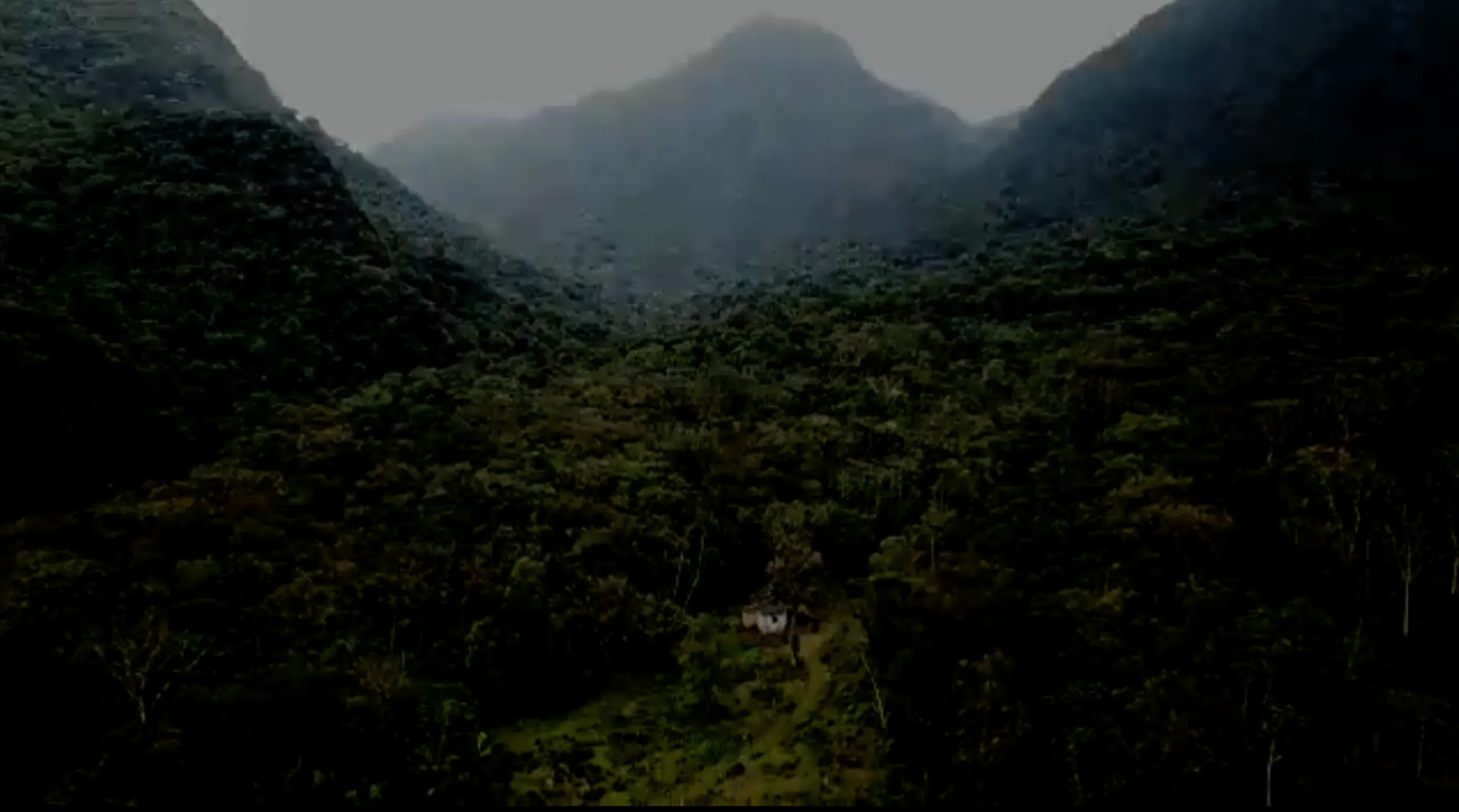 Sítio à venda de 63 ha em Morretes, PR, Brasil