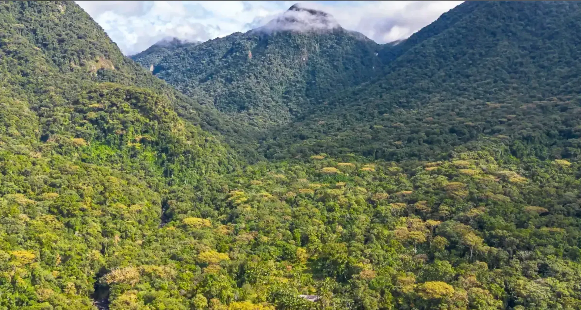Small farm for sale of 157 acres in Morretes, PR, Brazil