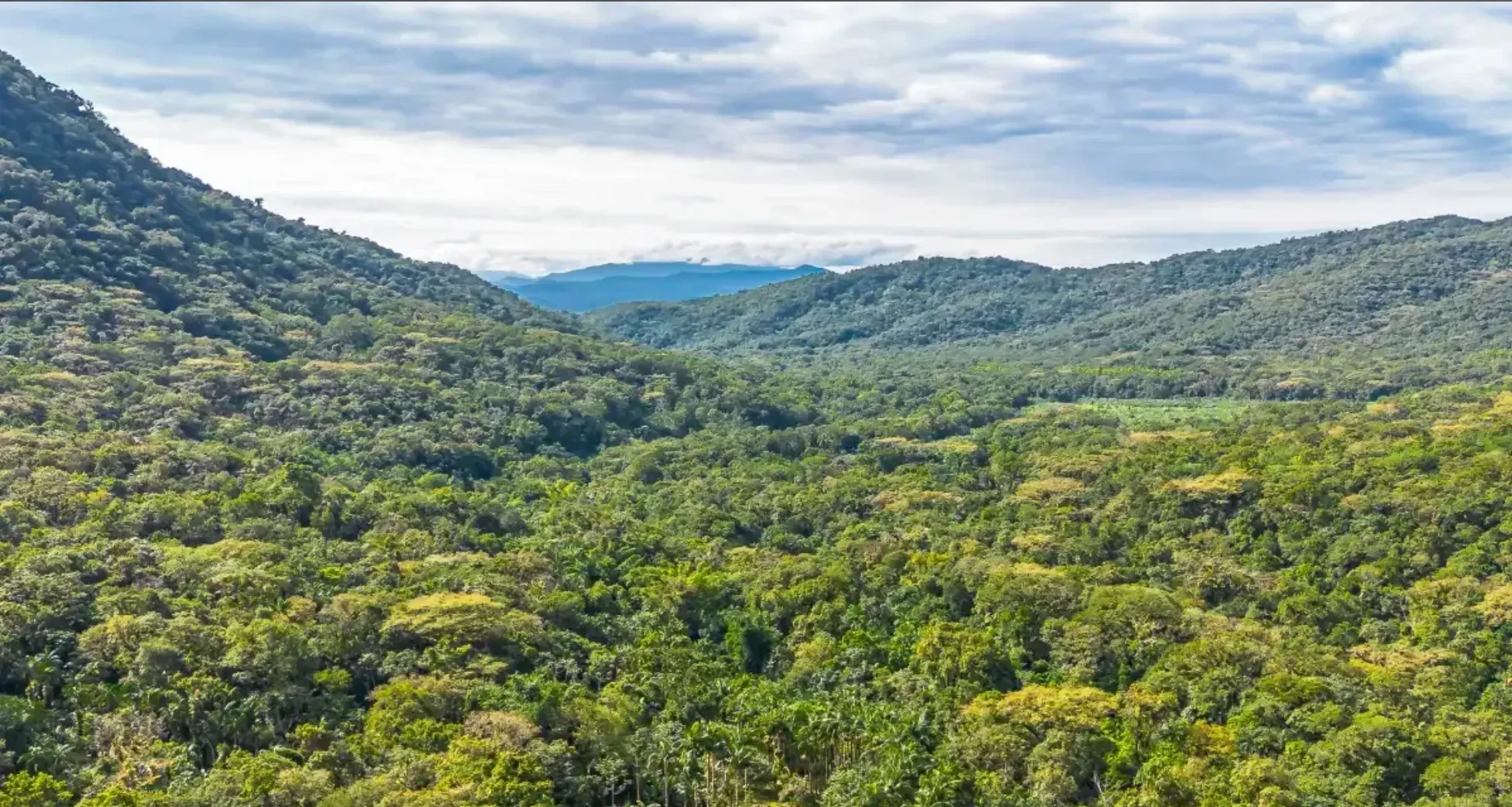 Small farm for sale of 157 acres in Morretes, PR, Brazil