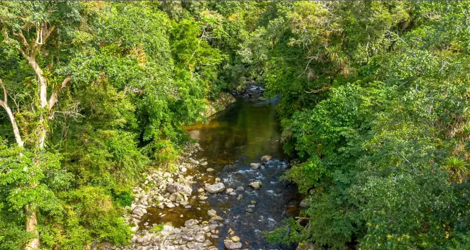 Small farm for sale of 157 acres in Morretes, PR, Brazil