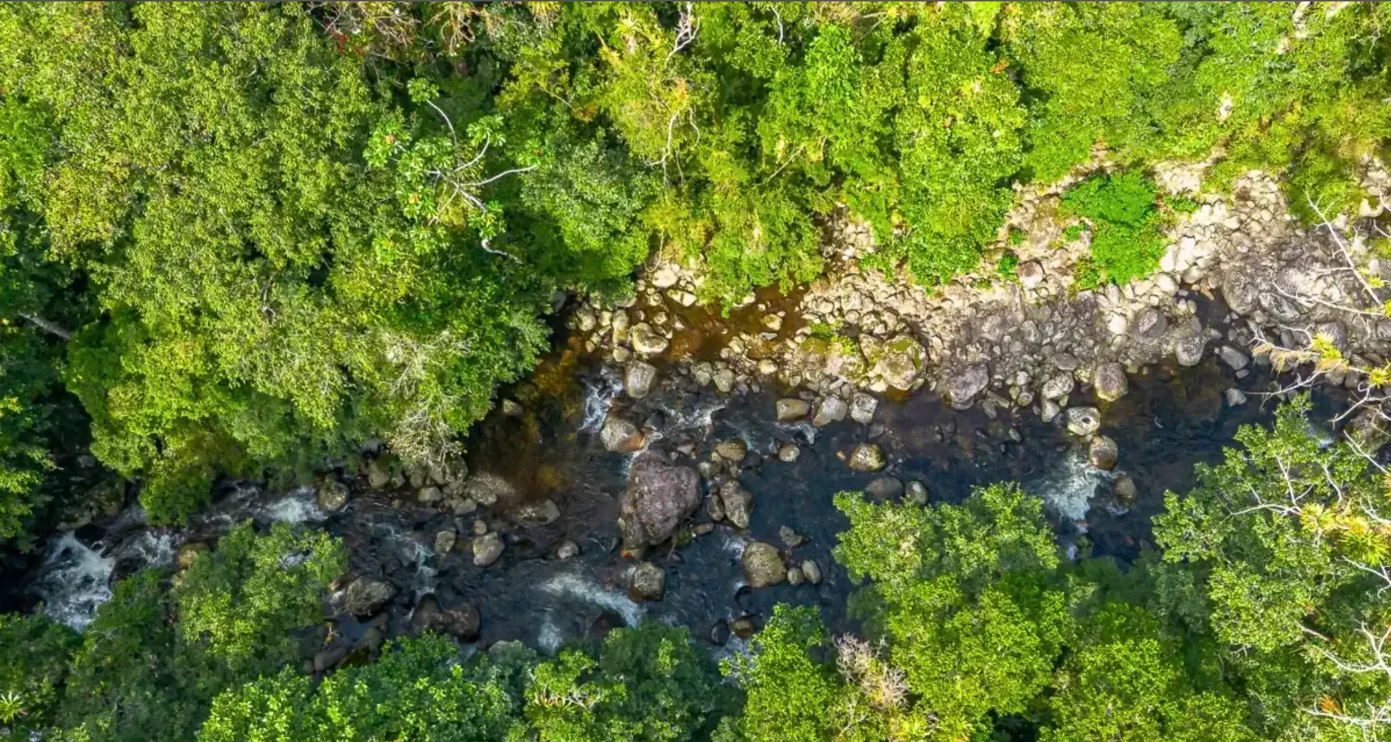 Small farm for sale of 157 acres in Morretes, PR, Brazil